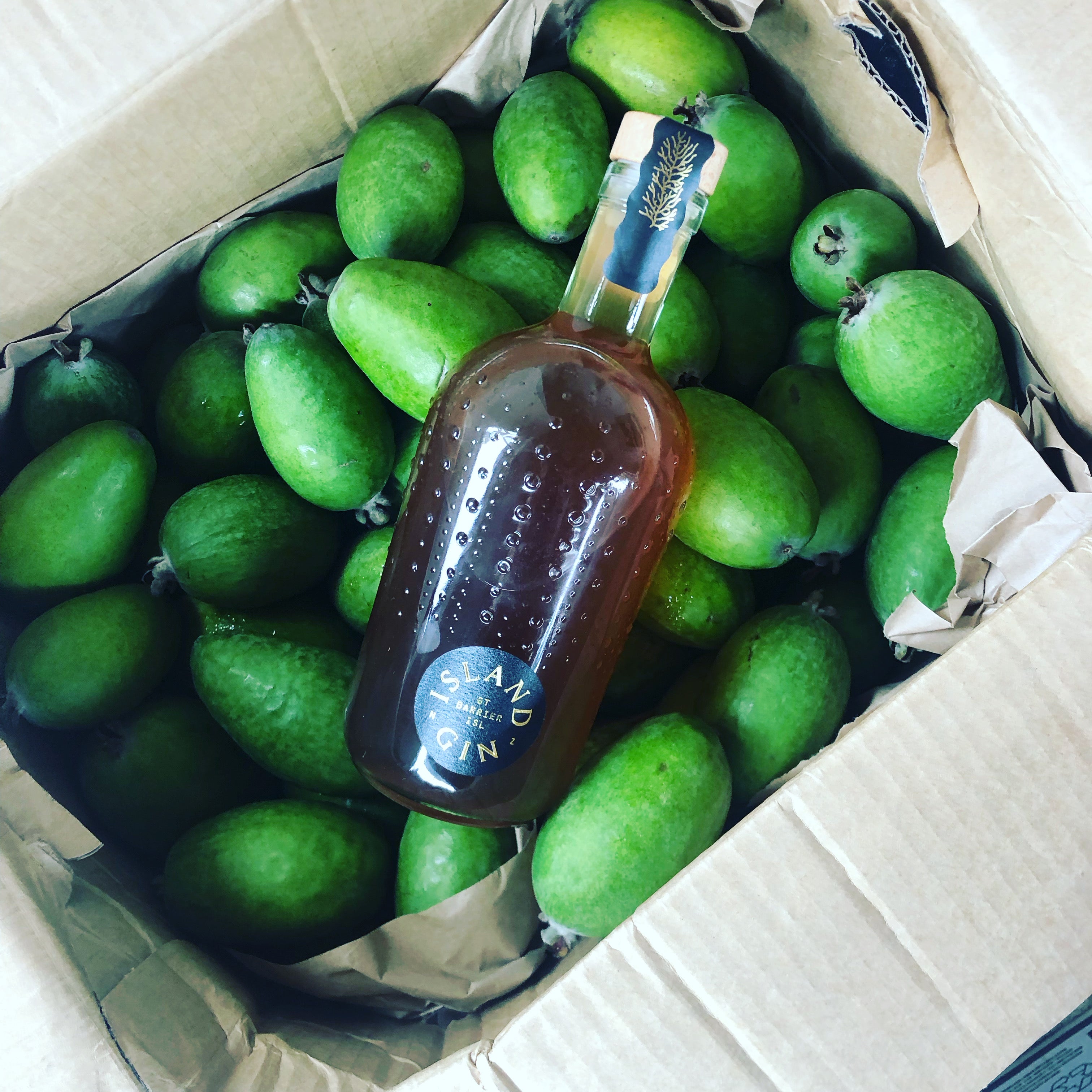 Feijoa Limited Edition Black Label 26 % ABV - LOW STOCK